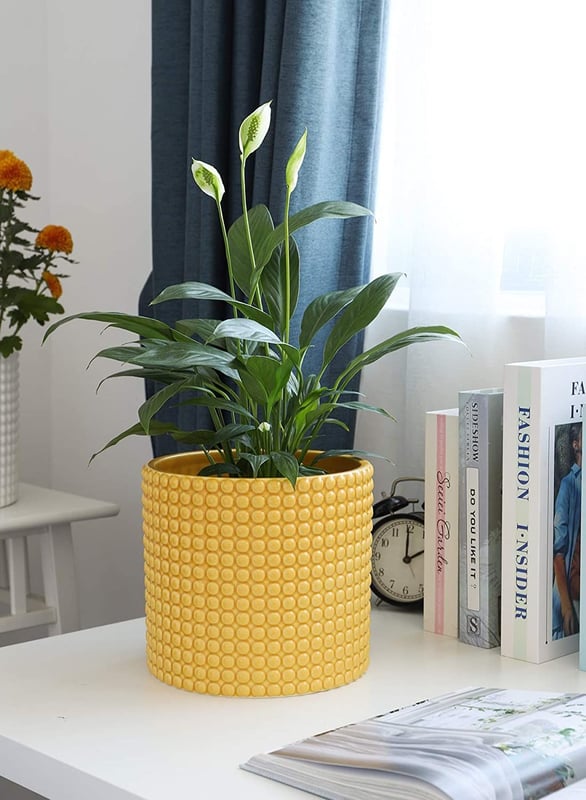 Yellow Polka Dot Flower Pot